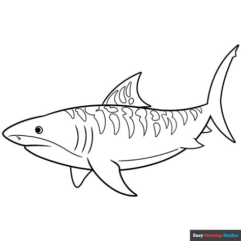 Tiger Shark Coloring Page