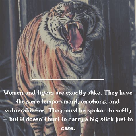 Tiger Vulnerability to Magic