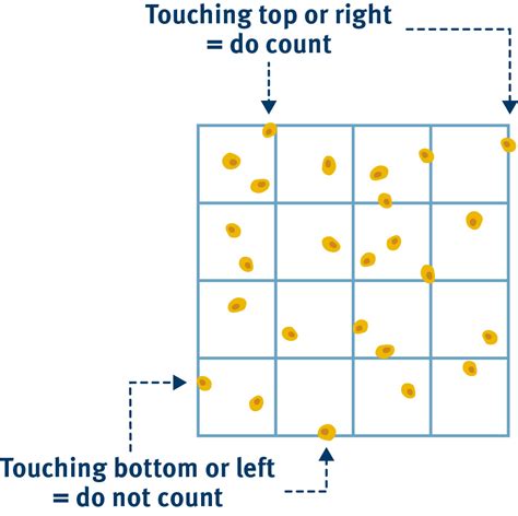 Tips for Counting Cells with Conditions