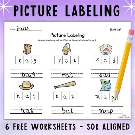 Tips for using printable labeling worksheets