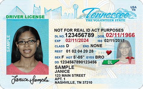 Tennessee Driver's License Renewal Gallery 1