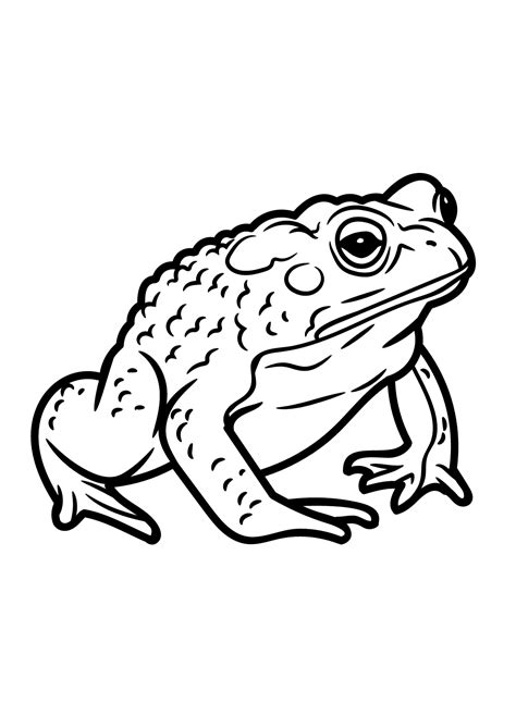 Toad Coloring Page