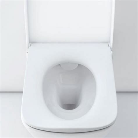 The importance of keeping the toilet seat down