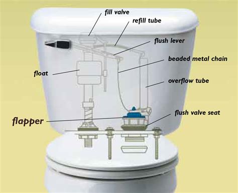 Toilet Seat Notch Issues Image