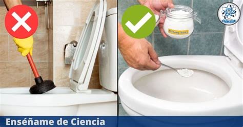 Toilet Clog Prevention Hacks