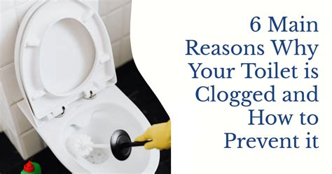 Toilet Clog Prevention Regulations