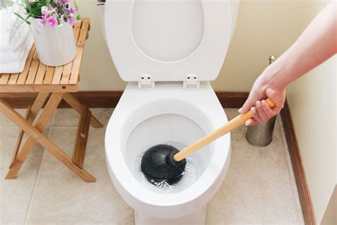 Understanding the Causes of Toilet Clogs