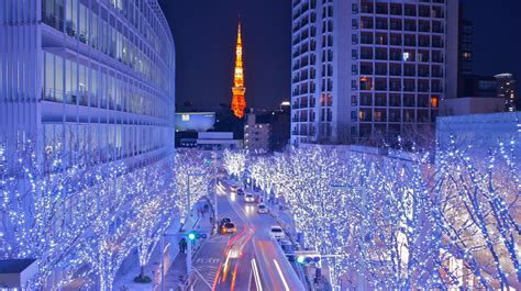 Tokyo Christmas Illuminations