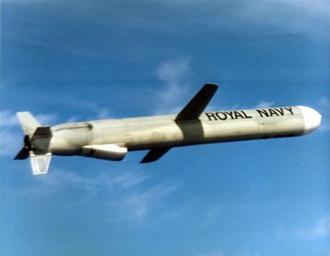 Tomahawk cruise missile