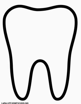 Tooth Outline Template for Adults