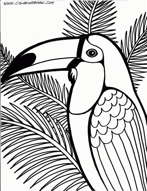 Toucan coloring page with a bold black outline