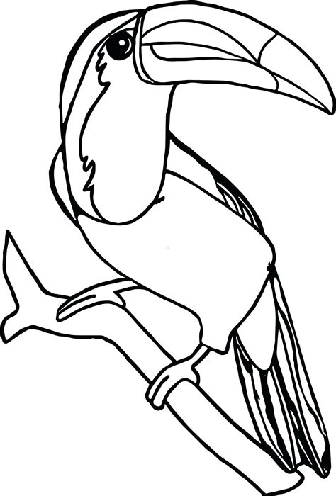 Toucan coloring page with a bold black outline