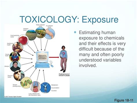 Toxic Exposure