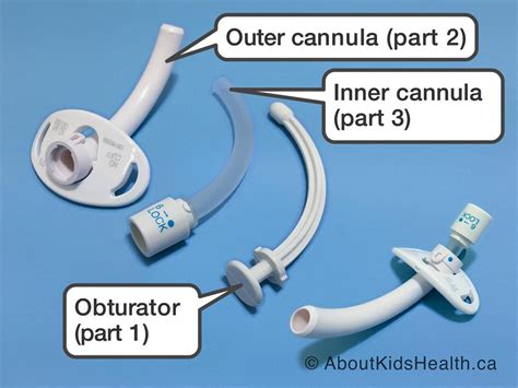 Tracheostomy tube research