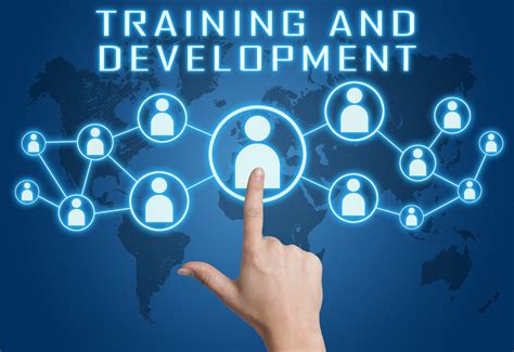 training and development opportunities