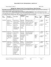 Treatment Plan Template