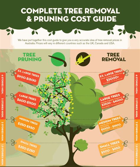 Tree Care Costs