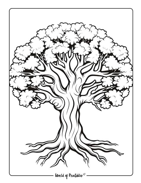 Tree coloring page with branches and leaves