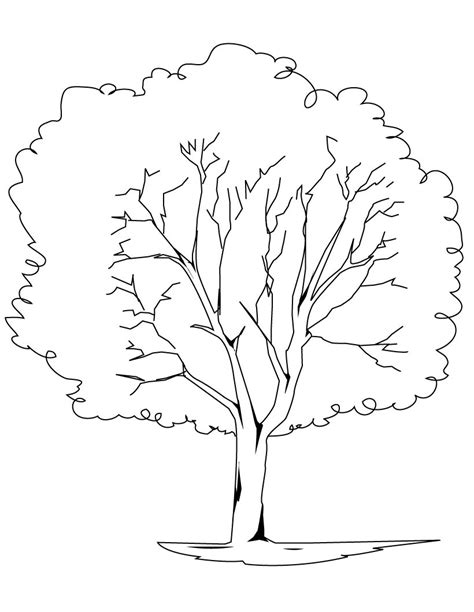 Tree coloring page gallery