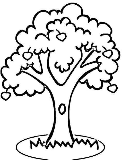 Tree Coloring Pages for Kids