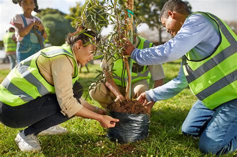 Tree planting ceremony