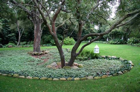 Tree Ring Landscape Fabric Ideas