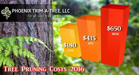 Tree Service Cost Calculator