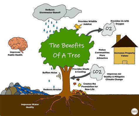 Benefits of Using Free Printable Tree Trunk Templates