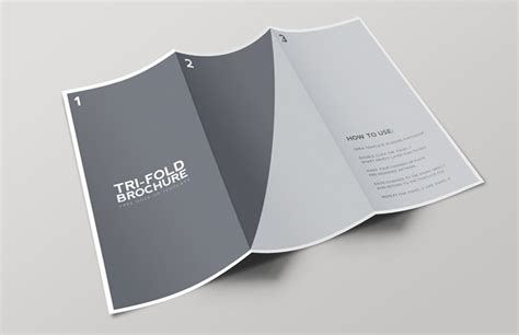 Trifold Brochure Template Printing