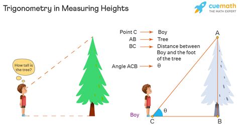 Trigonometry Applications