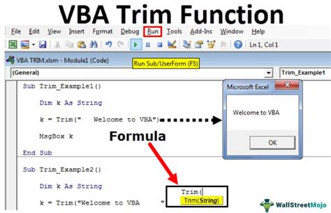 Trim String in Excel VBA LTrim and RTrim