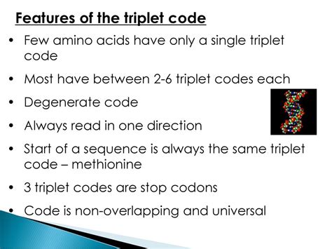 Triplet Code