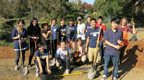 Troubled youth participating in community service