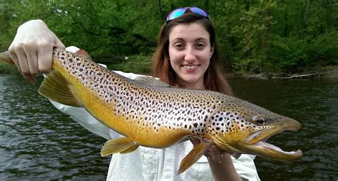 Trout fishing in a river