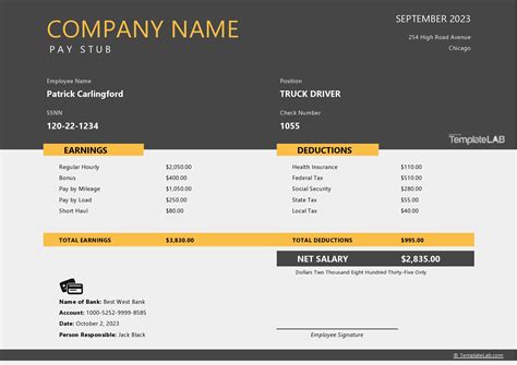 Truck Driver Pay Stub Template Gallery 1