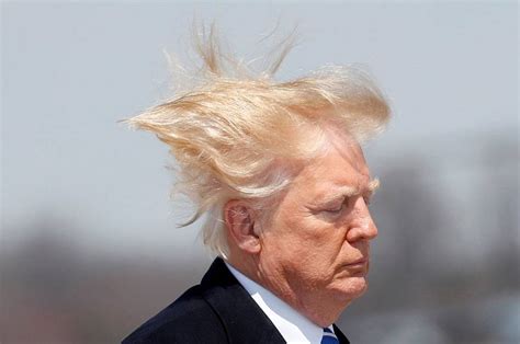 Donald Trump with tangled hair