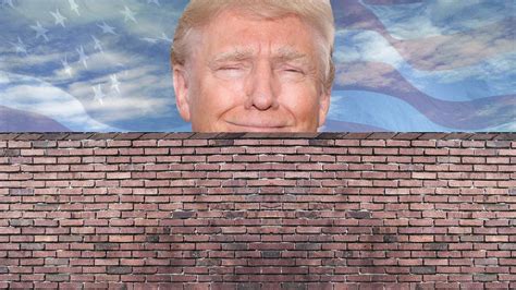 Significance of Trump Wall Memes