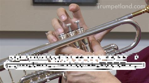 Trumpet Routine Inspiration Gallery Image 10