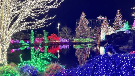 Animals at the Tulalip Christmas Lights Display