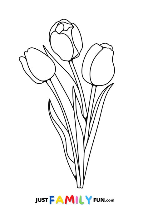 Tulip Template