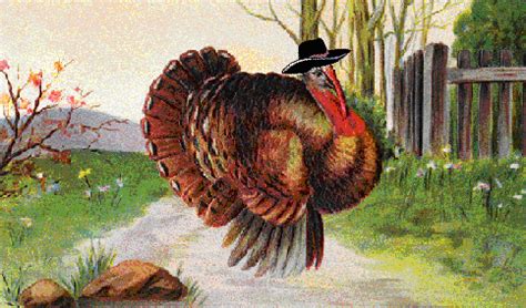 Turkey Cowboy Disguise