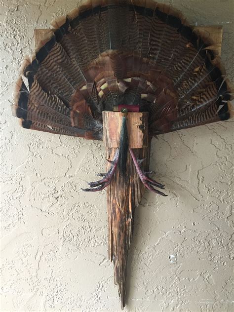 Turkey fan mount template ideas