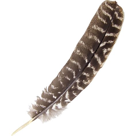 Turkey feather accessories