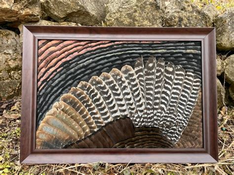 Turkey feather wall art