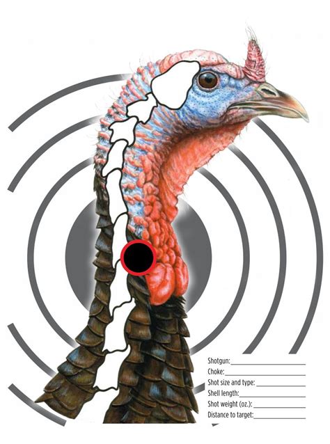 Turkey Head Target Variation for Shooting Practice