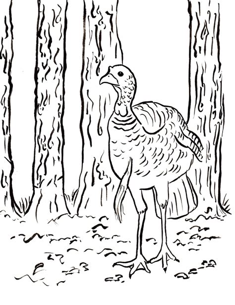 Turkey Hunting Coloring Page