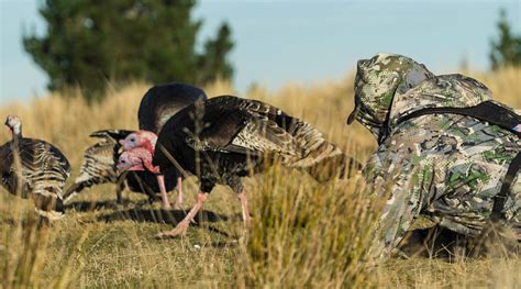 Turkey Hunting Concealment