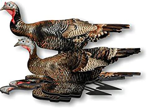 Turkey Hunting Decoys