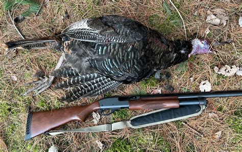 Turkey Hunting Disguises for Beginners