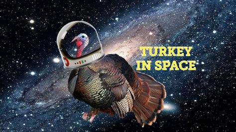 Turkey in Space Costume